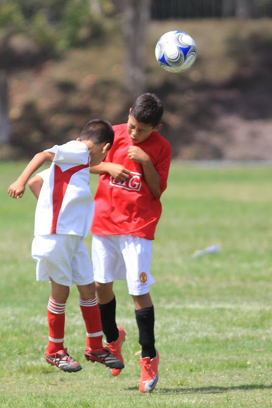 IMAGE: http://lh6.ggpht.com/_uFrS5yCiGps/Sq22yVEf0DI/AAAAAAAALlE/qSpgPYwksN0/s800/DPP_0012.JPG