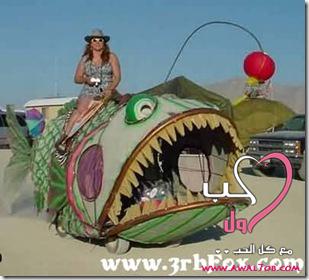 ��� ������ ����� ����� image019.jpg