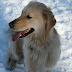 jan2009 1144.JPG