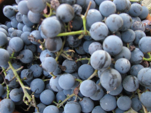 [uptoearlyOct20101864.jpg]