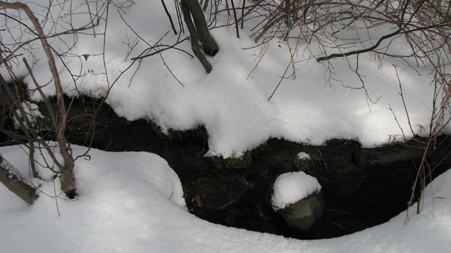 [uptoImbolc20111152.jpg]