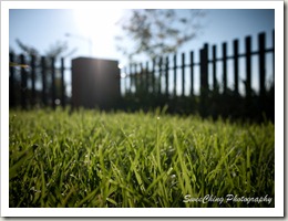 P1110668_GF1
