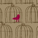 york birdcage.jpg