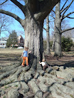 Spielplatz 3-8.JPG