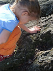 Spielplatz 3-16.JPG