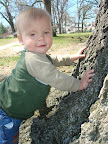 Climbing on the Carrots-3.JPG