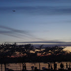Cherry Blossom Picnic-14.JPG