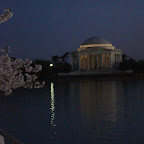 Cherry Blossom Picnic-19.JPG