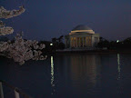 Cherry Blossom Picnic-19.JPG