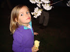 Cherry Blossom Picnic-30.JPG