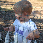 Pumpkin Patch-2.JPG