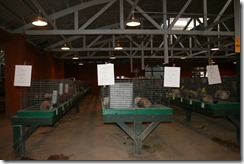 IMG_0572 IMG_0572