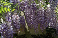PICT8789.JPG