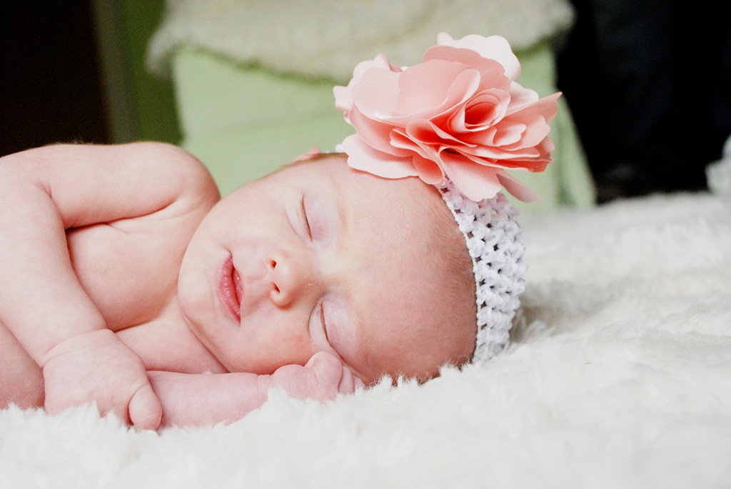 [DSC_0838(2)[2].jpg]