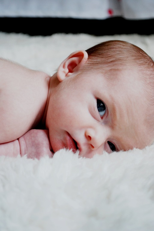 [DSC_0865[2].jpg]