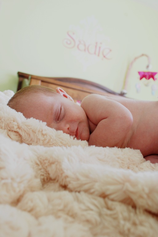 [DSC_0798(2)[2].jpg]