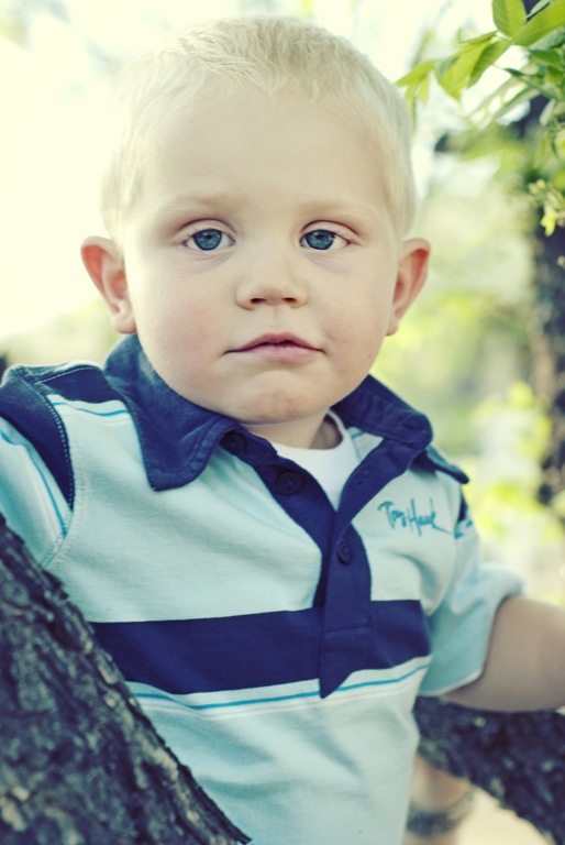 Various (233 of 1063)