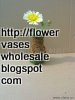 flower vases wholesale:92n7118a93dkm5