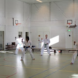 IMG_8860.JPG