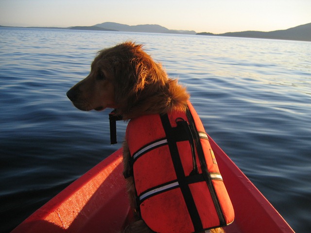 [Paddling (14)[4].jpg]
