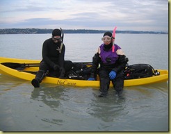 Diving (3)