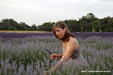Lavandula Swiss/Italian Farm