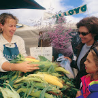 Chef-led journey through the Mornington Peninsula three