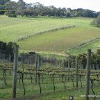 Chef-led journey through the Mornington Peninsula fifteen