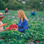 Chef-led journey through the Mornington Peninsula fifty fourHINTERLAND-11