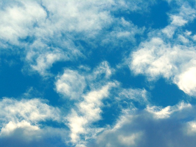 [sky[3].jpg]