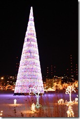 Dec. 2010 078