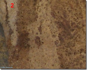 Cabra o burro - arte rupestre Vall d´Ebo