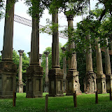 DSC00896.JPG