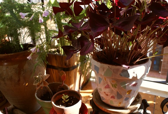 DSC05539 DSC05539