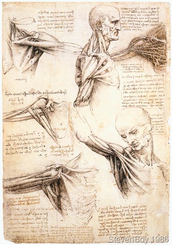 [Anatomicalstudiesoftheshoulder[7].jpg]
