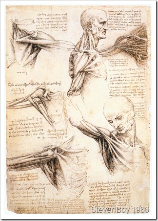 Anatomicalstudiesoftheshoulder