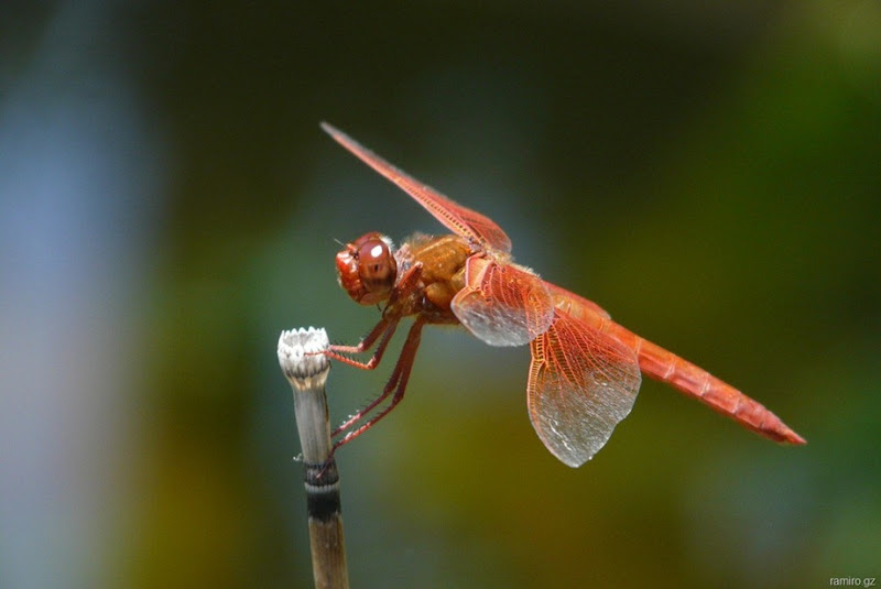 P1120216[2]