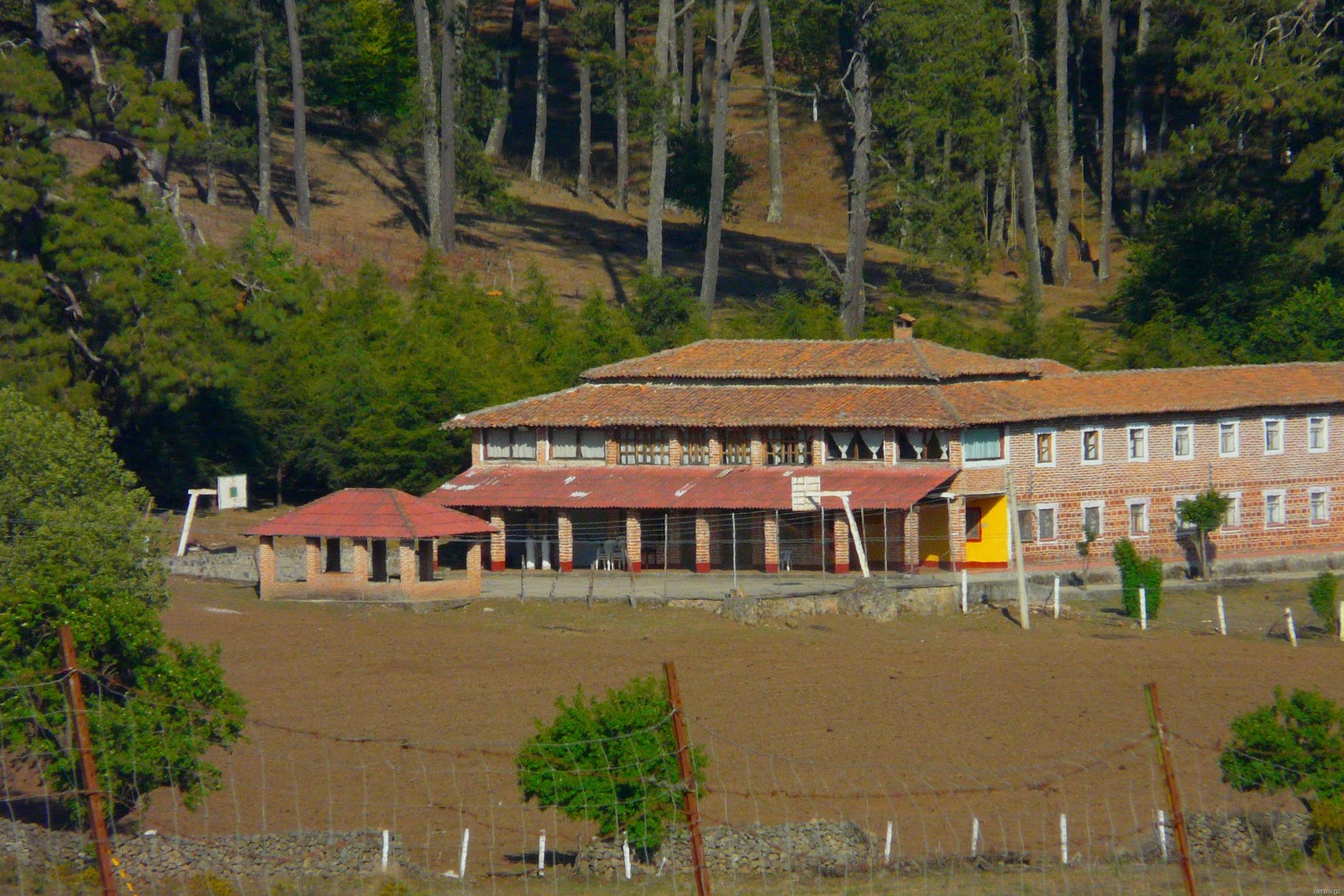 [P1160577[17].jpg]