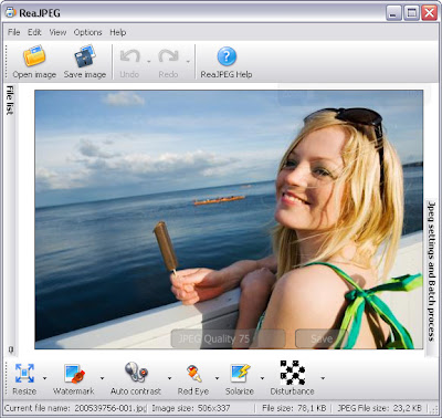 How To Convert NEF To JPEG With RealJPEG