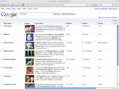 Google Squared Screenshot Google Squared Screenshot