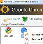 Google Chrome Backup