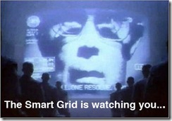 big-brother-1984-smart-grid-photo-01