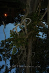 closer view