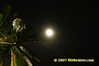 clear view of the moon