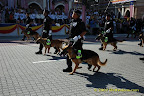 K-9 Unit K-9 Unit