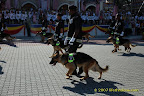 K-9 Unit