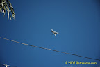 fighter jet fighter jet