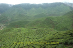 View from Bharat Tea Shop View from Bharat Tea Shop