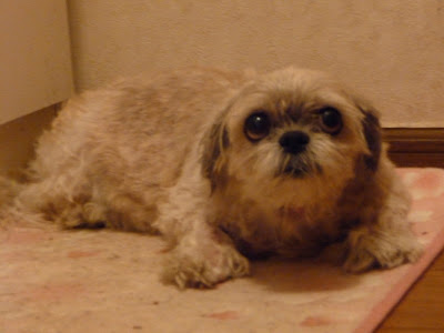 090615
