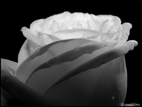 Unfolding_by_Adrianescu